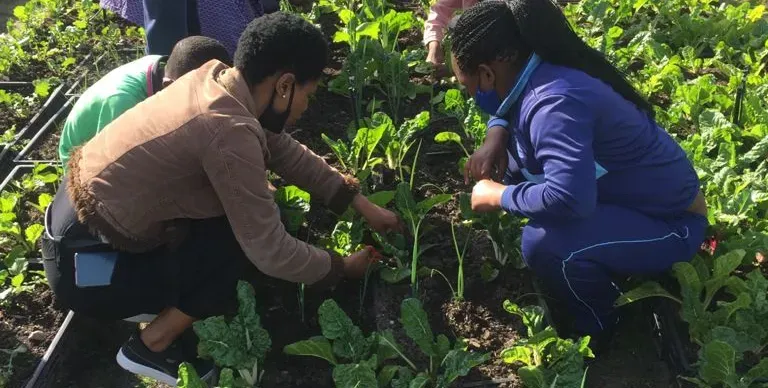 Planting and gardening together